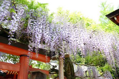 Kasuga Taisha Shrine