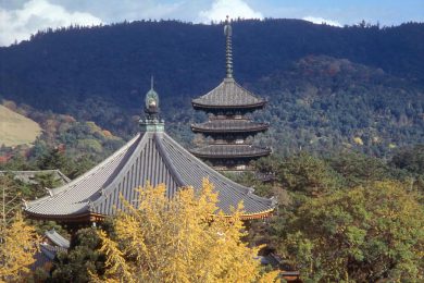 Kofuku-ji Temple